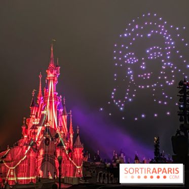 Disney ❤ Notre-Dame de Paris - IMG 1670