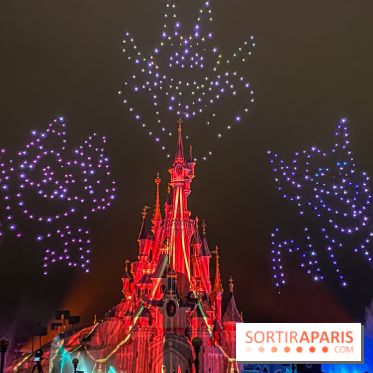 Disney ❤ Notre-Dame de Paris - IMG 1677