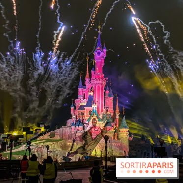 Disney ❤ Notre-Dame de Paris - IMG 1713