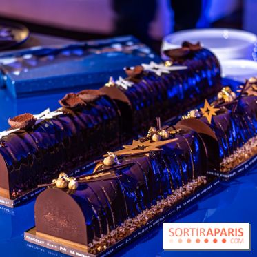 Les bûches et chocolats de Noël de la Maison du Chocolat 2024 -  A7C8368