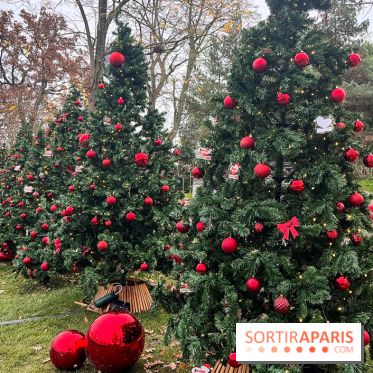 Noël au Jardin d'Acclimatation 2024  - image00032