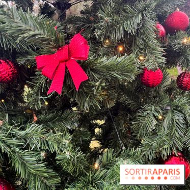 Noël au Jardin d'Acclimatation 2024  - image00029