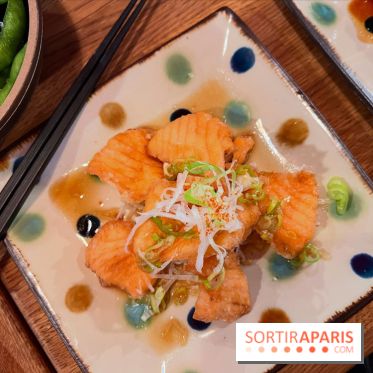 Jinchan Yokocho - Tranches de saumon frites