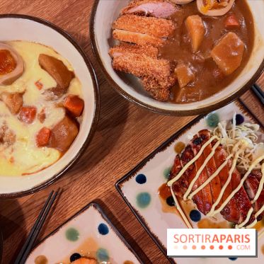 Jinchan Yokocho - Curry japonais