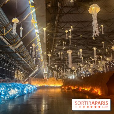 L'océan de Léa, l'exposition événement à la patinoire de Saint-Ouen - nos photos - image00040