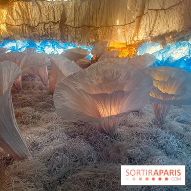 L'océan de Léa, l'exposition événement à la patinoire de Saint-Ouen - nos photos - image00042