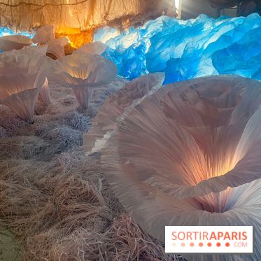 L'océan de Léa, l'exposition événement à la patinoire de Saint-Ouen - nos photos - image00043
