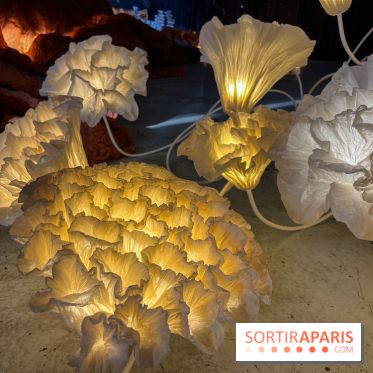 L'océan de Léa, l'exposition événement à la patinoire de Saint-Ouen - nos photos - image00033