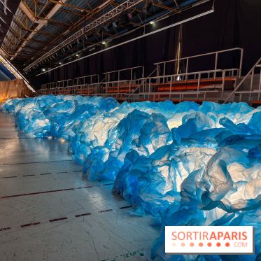 L'océan de Léa, l'exposition événement à la patinoire de Saint-Ouen - nos photos - image00002