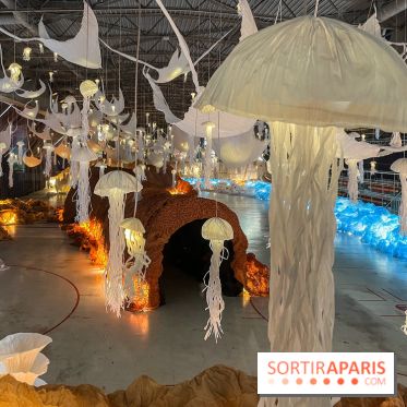 L'océan de Léa, l'exposition événement à la patinoire de Saint-Ouen - nos photos - image00008