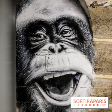 Street art : nos photos de la troisième édition de L’équipée à Paris