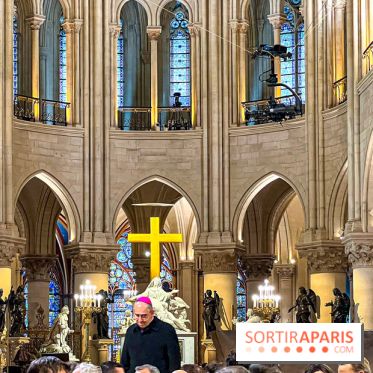 Réouverture de Notre-Dame de Paris - IMG 4171 jpg