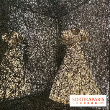 The Soul Trembles - IMG 7677