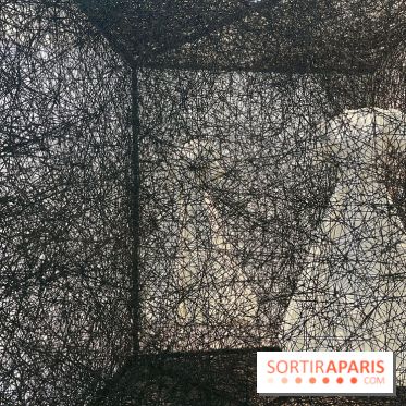 The Soul Trembles - IMG 7682