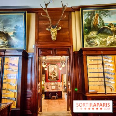 Musée de la chasse et de la nature - collections permanentes et visuels
