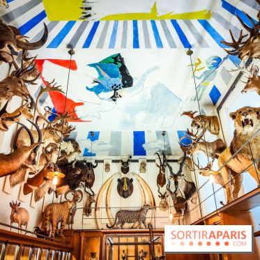 Musée de la chasse et de la nature - collections permanentes et visuels - IMG20241209152724