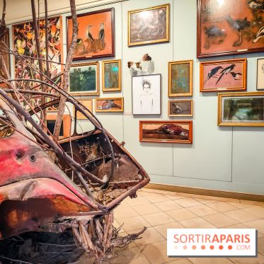 Musée de la chasse et de la nature - collections permanentes et visuels - IMG20241209152447