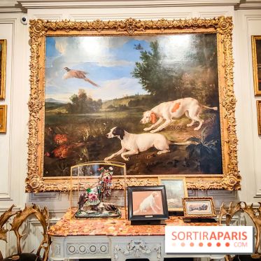 Musée de la chasse et de la nature - collections permanentes et visuels