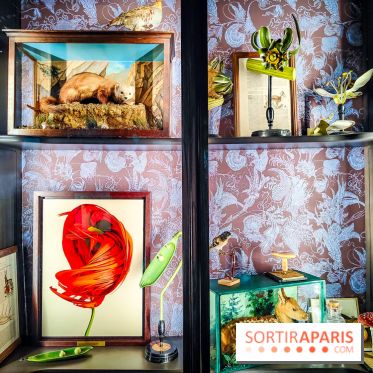Musée de la chasse et de la nature - collections permanentes et visuels