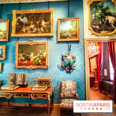 Musée de la chasse et de la nature - collections permanentes et visuels