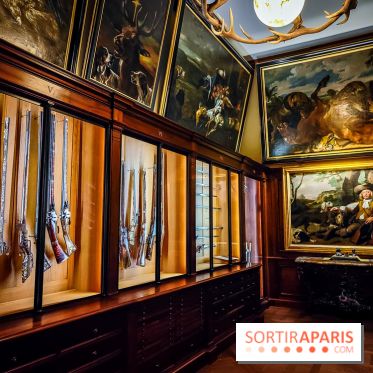 Musée de la chasse et de la nature - collections permanentes et visuels