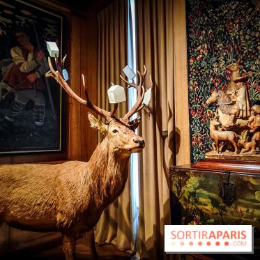 Musée de la chasse et de la nature - collections permanentes et visuels - IMG20241209151528