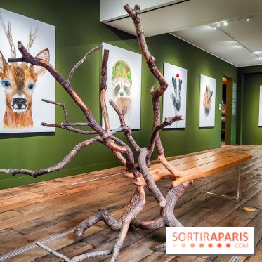 S'éclairer sans fin : l'exposition poétique d'Edi Dubien au musée de la Chasse et de la Nature - photos