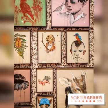 S'éclairer sans fin : l'exposition poétique d'Edi Dubien au musée de la Chasse et de la Nature - photos - IMG20241209145739