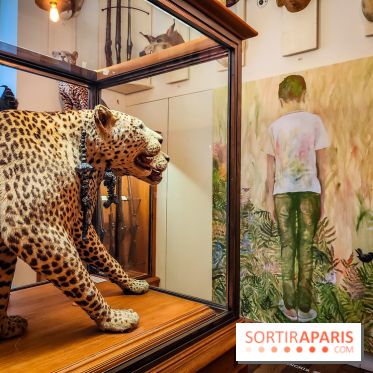 S'éclairer sans fin : l'exposition poétique d'Edi Dubien au musée de la Chasse et de la Nature - photos - IMG20241209152756