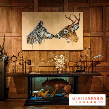 S'éclairer sans fin : l'exposition poétique d'Edi Dubien au musée de la Chasse et de la Nature - photos - IMG20241209151516