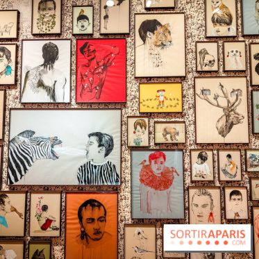 S'éclairer sans fin : l'exposition poétique d'Edi Dubien au musée de la Chasse et de la Nature - photos - IMG20241209145732