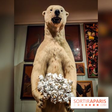 S'éclairer sans fin : l'exposition poétique d'Edi Dubien au musée de la Chasse et de la Nature - photos - IMG20241209152648