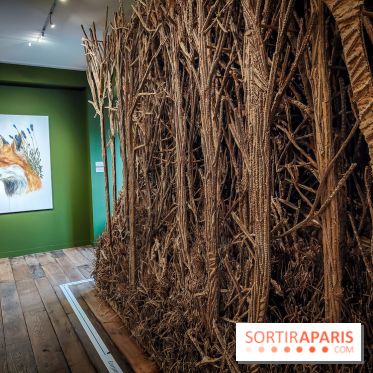 S'éclairer sans fin : l'exposition poétique d'Edi Dubien au musée de la Chasse et de la Nature - photos - IMG20241209153732