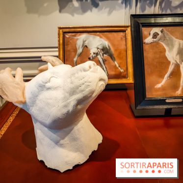S'éclairer sans fin : l'exposition poétique d'Edi Dubien au musée de la Chasse et de la Nature - photos - IMG20241209152050