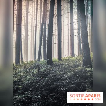 Silence : l'exposition immersive se dévoile à la Cité des Sciences et de l'Industrie - IMG20241210102205