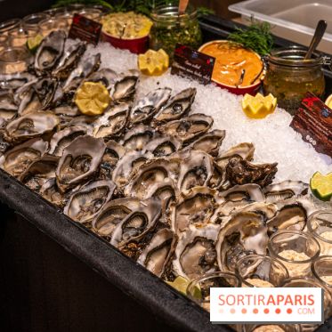 Noël au Parc Astérix 2024 - nos photos -  Quai de lutèce 