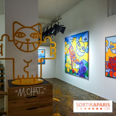 M. Chat, nos photos de son expo à la Galerie Brugier-Rigail - DSC05951