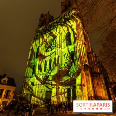 Lueurs de Mantes 2024, le parcours lumineux dans les Yvelines - photos -  A7C9184