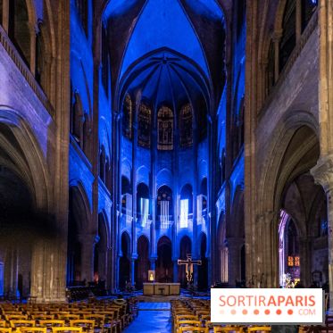 Lueurs de Mantes 2024, le parcours lumineux dans les Yvelines - photos