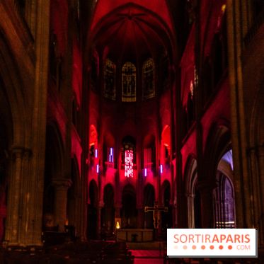 Lueurs de Mantes 2024, le parcours lumineux dans les Yvelines - photos -  A7C9190