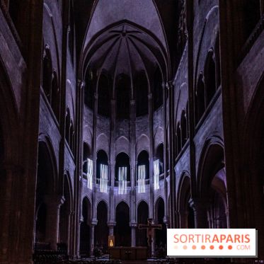 Lueurs de Mantes 2024, le parcours lumineux dans les Yvelines - photos -  A7C9193