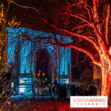 Lueurs de Mantes 2024, le parcours lumineux dans les Yvelines - photos -  A7C9245