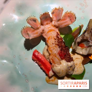 Virtus - Langoustine au sarrasin