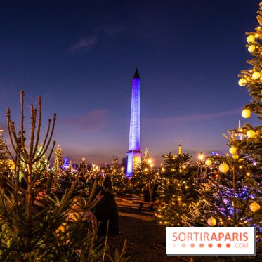 Le Marché de Noël de la Place de la Concorde à Paris -  A7C9422
