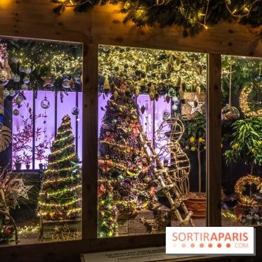 Le Marché de Noël de la Place de la Concorde à Paris -  A7C9452