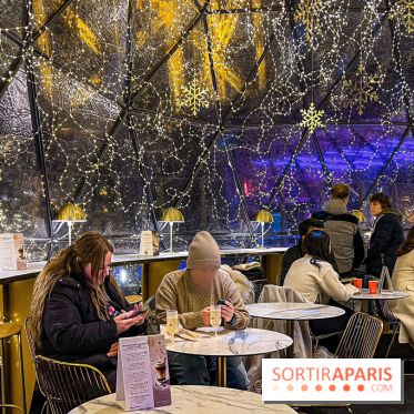 Noël 2024 à la tour Eiffel - image00003