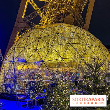 Noël 2024 à la tour Eiffel - image00051