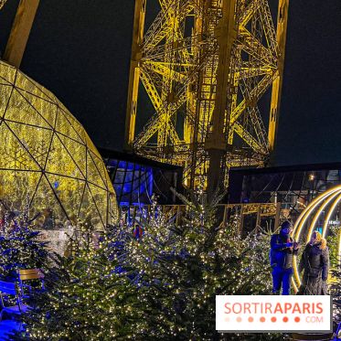 Noël 2024 à la tour Eiffel - image00052