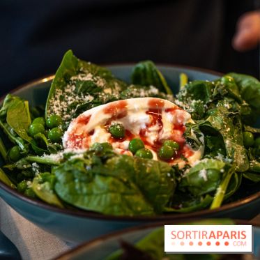 Casa Azul, le restaurant de street food Mexicain à Fontainebleau - photos  -  A7C7635