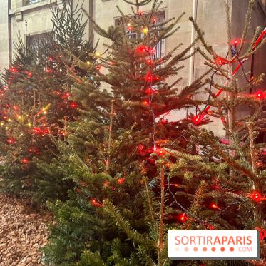 Bel Hiver Saint-Denis 2024 - nos photos - image00020